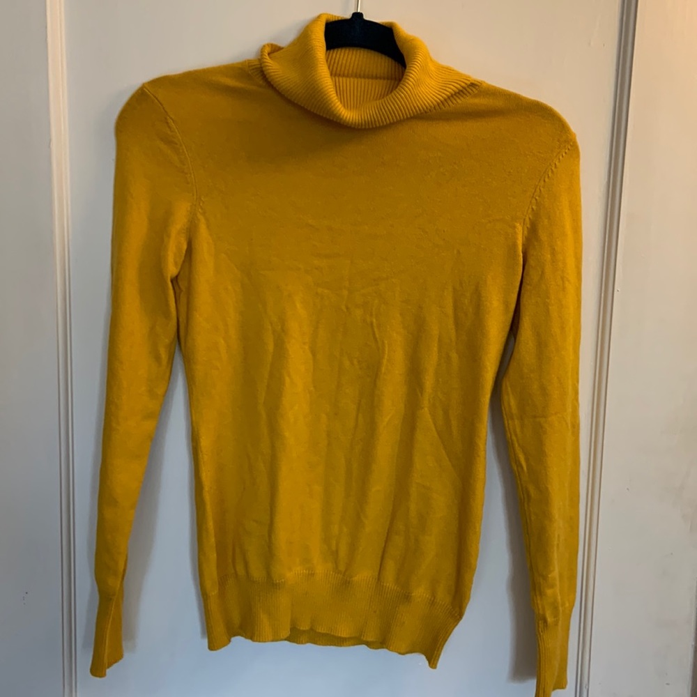 Banana Republic Turtleneck Sweater